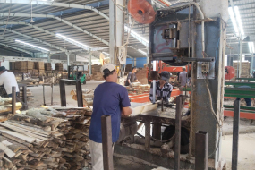 Quy trình sản xuất phôi gỗ cao su đạt chuẩn chất lượng xuất khẩu