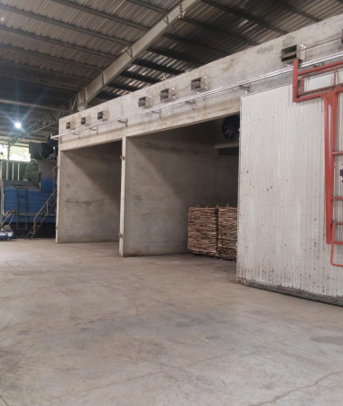 Thị trường gỗ cao su Bình Dương – Tiềm năng và cơ hội cho doanh nghiệp