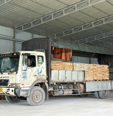 GỖ CAO SU NAM THUẬN PHÁT