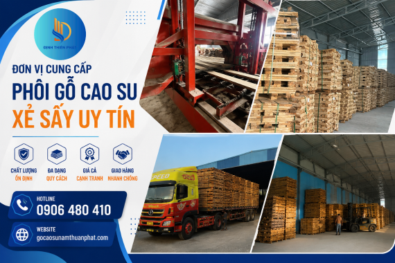 Đơn vị cung cấp phôi gỗ cao su xẻ sấy uy tín