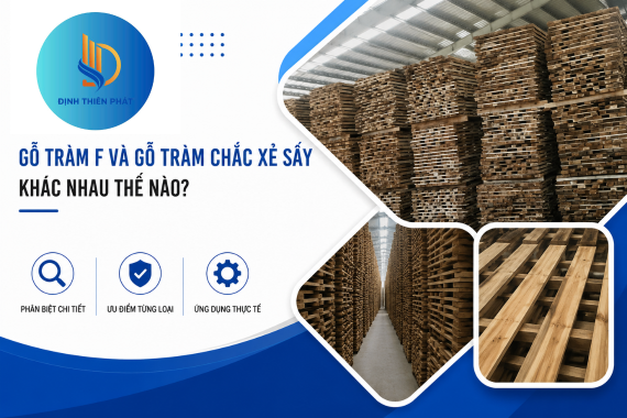 Gỗ Tràm F Và Gỗ Tràm Chắc Xẻ Sấy Khác Nhau Thế Nào?