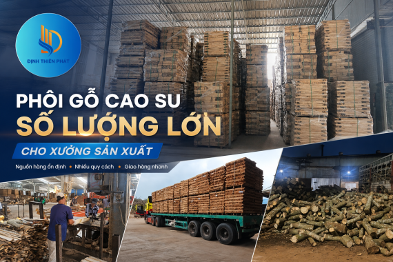 Phôi Gỗ Cao Su Số Lượng Lớn Cho Xưởng Sản Xuất