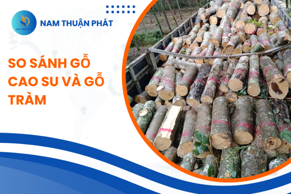 So sánh gỗ cao su và gỗ tràm – loại nào phù hợp hơn cho sản xuất nội thất?