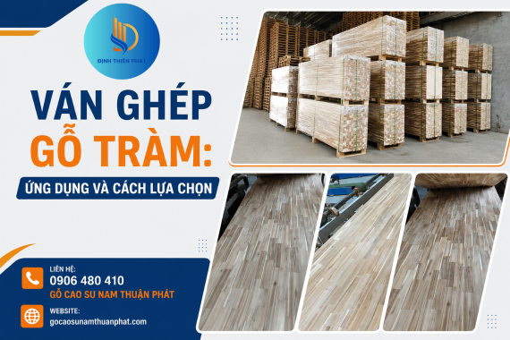 Ván Ghép Gỗ Tràm: Ứng Dụng Và Cách Lựa Chọn