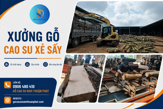 Xưởng Gỗ Cao Su Xẻ Sấy