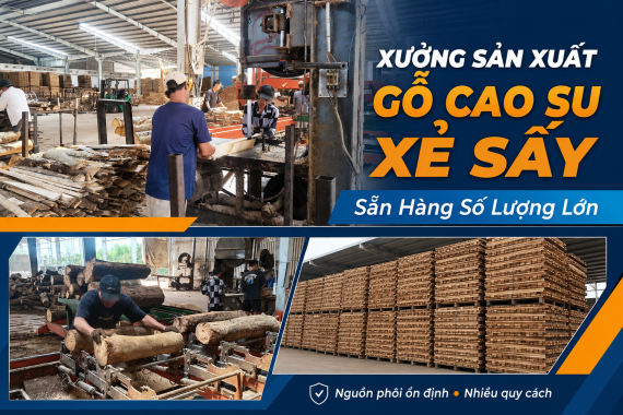 Xưởng Sản Xuất Gỗ Cao Su Xẻ Sấy, Sẵn Hàng Số Lượng Lớn