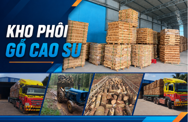 Giới Thiệu Về Nam Thuận Phát