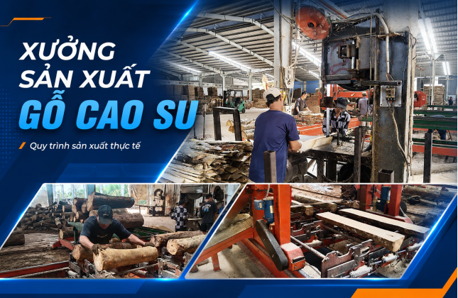 Giới Thiệu Về Nam Thuận Phát