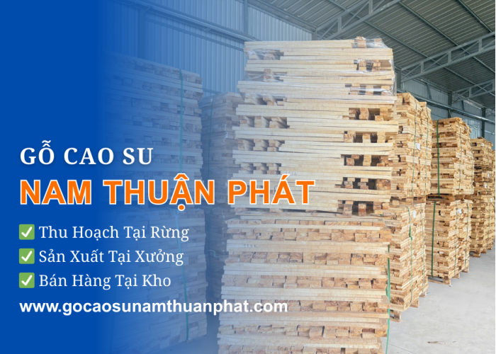 GỖ CAO SU NAM THUẬN PHÁT