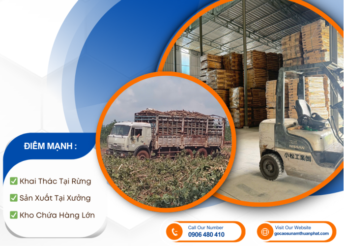 GỖ CAO SU NAM THUẬN PHÁT