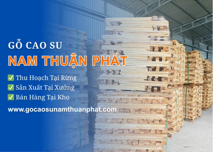 GỖ CAO SU NAM THUẬN PHÁT