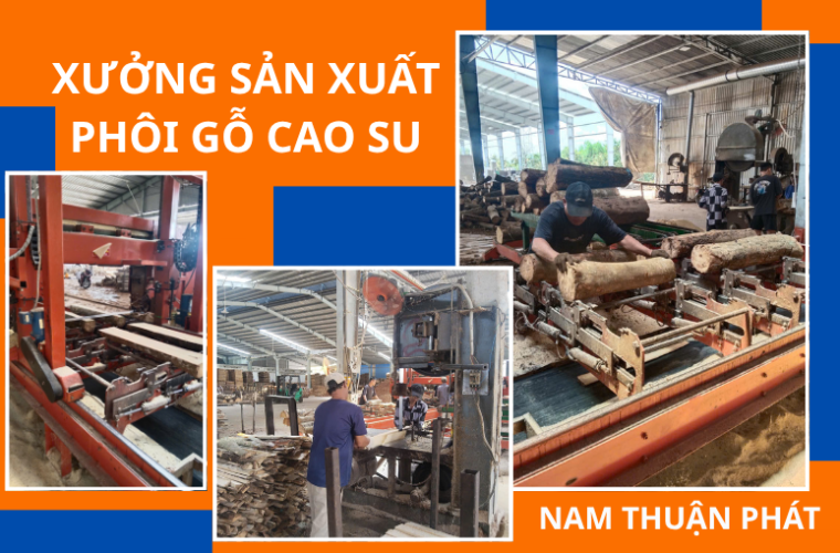 XƯỞNG SẢN XUẤT GỖ CAO SU