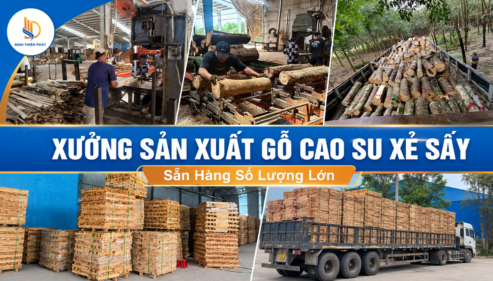 XUONG-SAN-XUAT-PHOI-GO-CAO-SU-XE-SAY