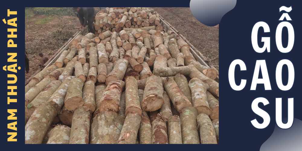 GỖ CAO SU