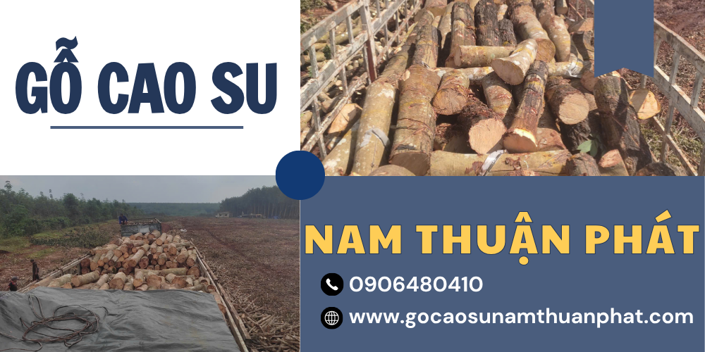 GỖ CAO SU