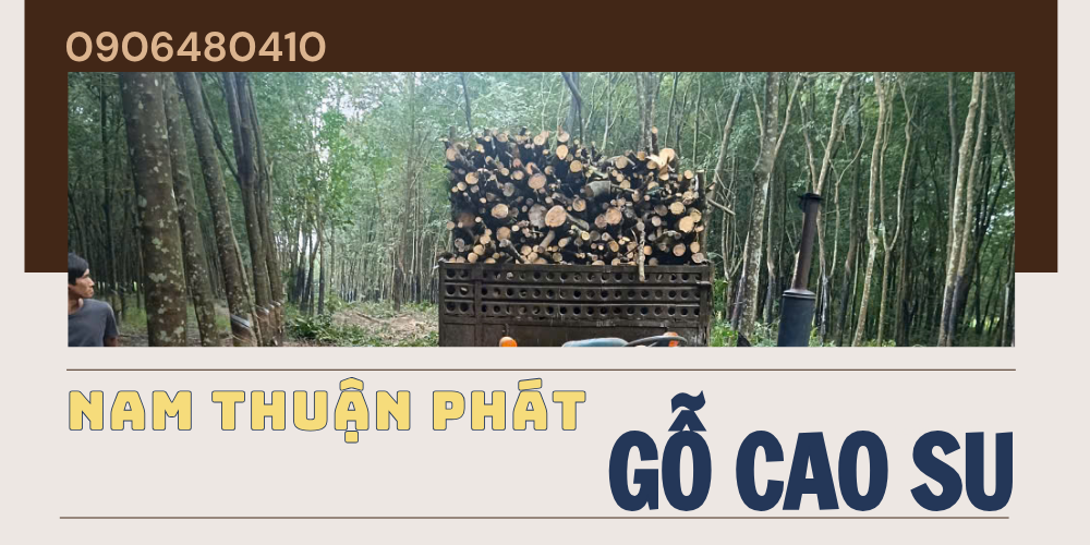 GỖ CAO SU