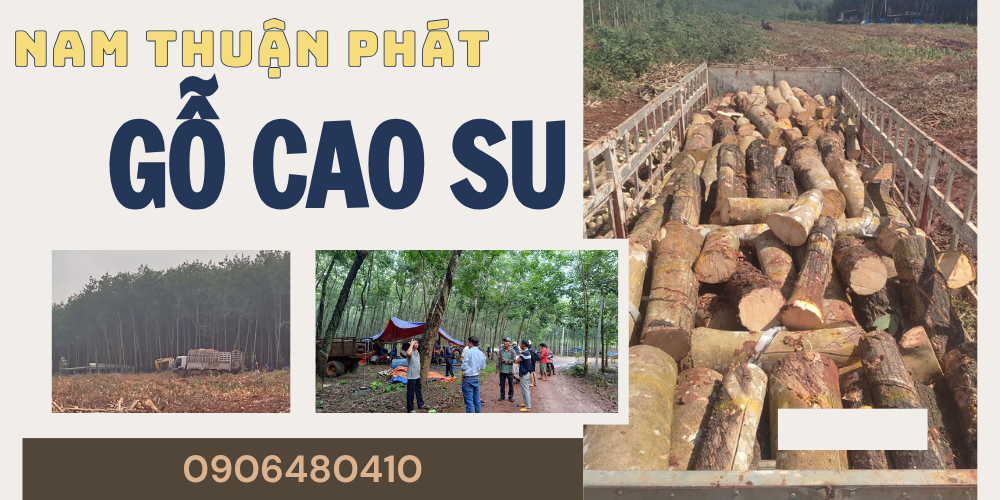 GỖ CAO SU