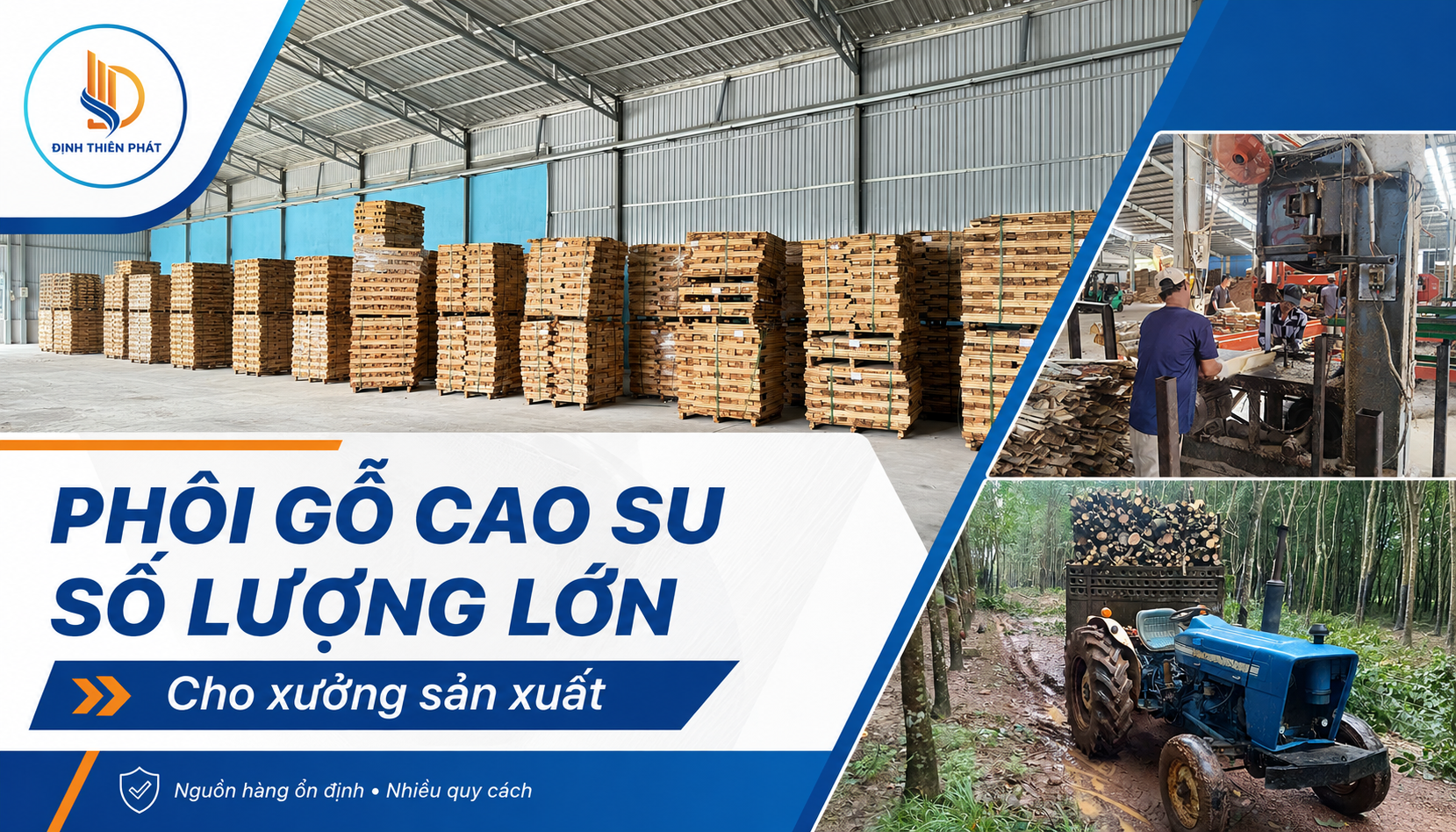 phoi-go-cao-su-so-luong-lon-cho-xuong-san-xuat