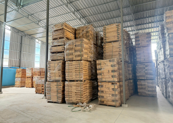 Gỗ cao su xẻ sấy ABC