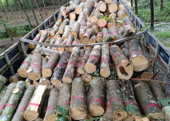 Gỗ Cao Su Tự Nhiên